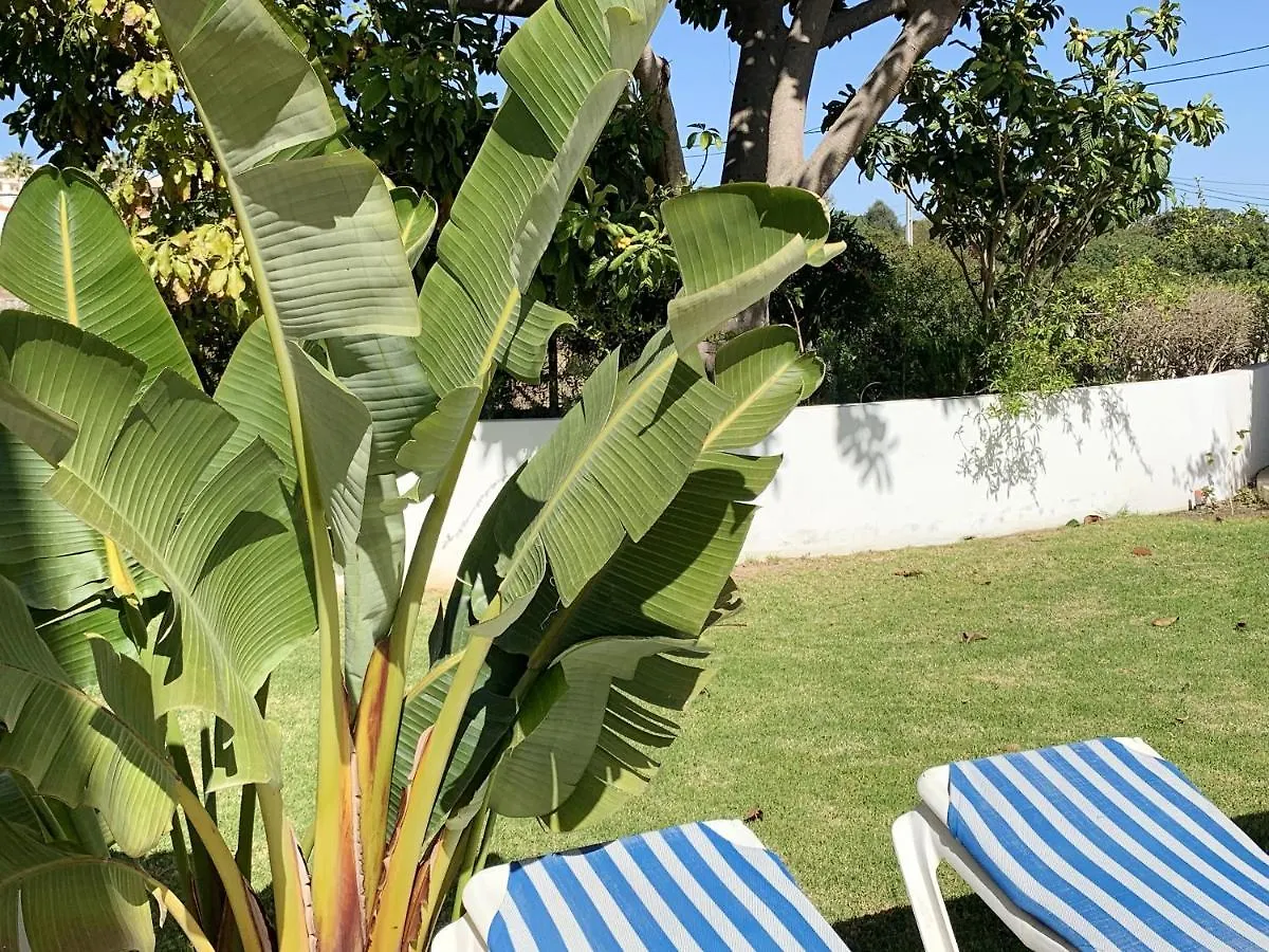 Charming House In Carvoeiro + Pool Villa Carvoeiro (Lagoa)