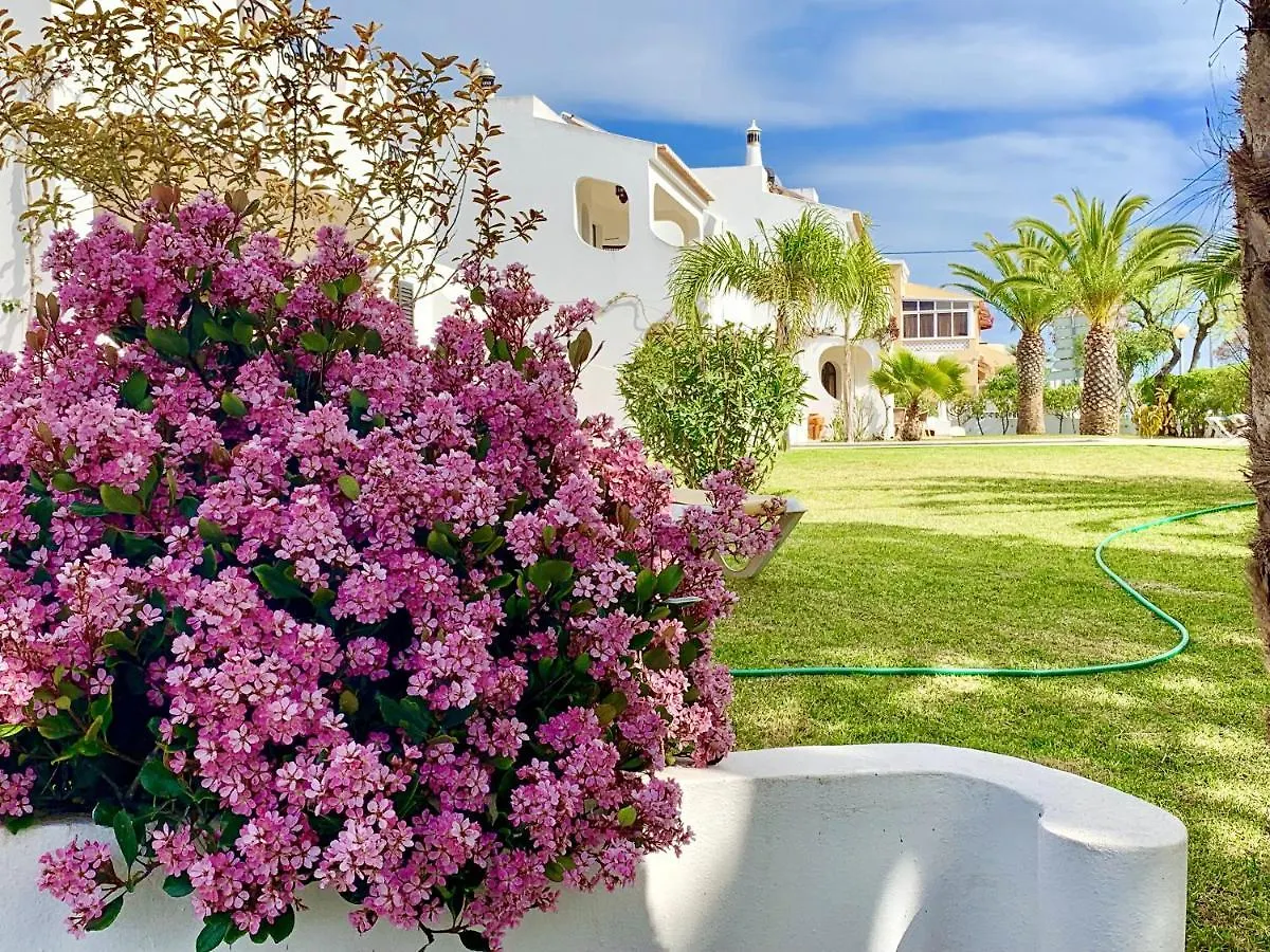 Charming House In Carvoeiro + Pool Villa Portugal