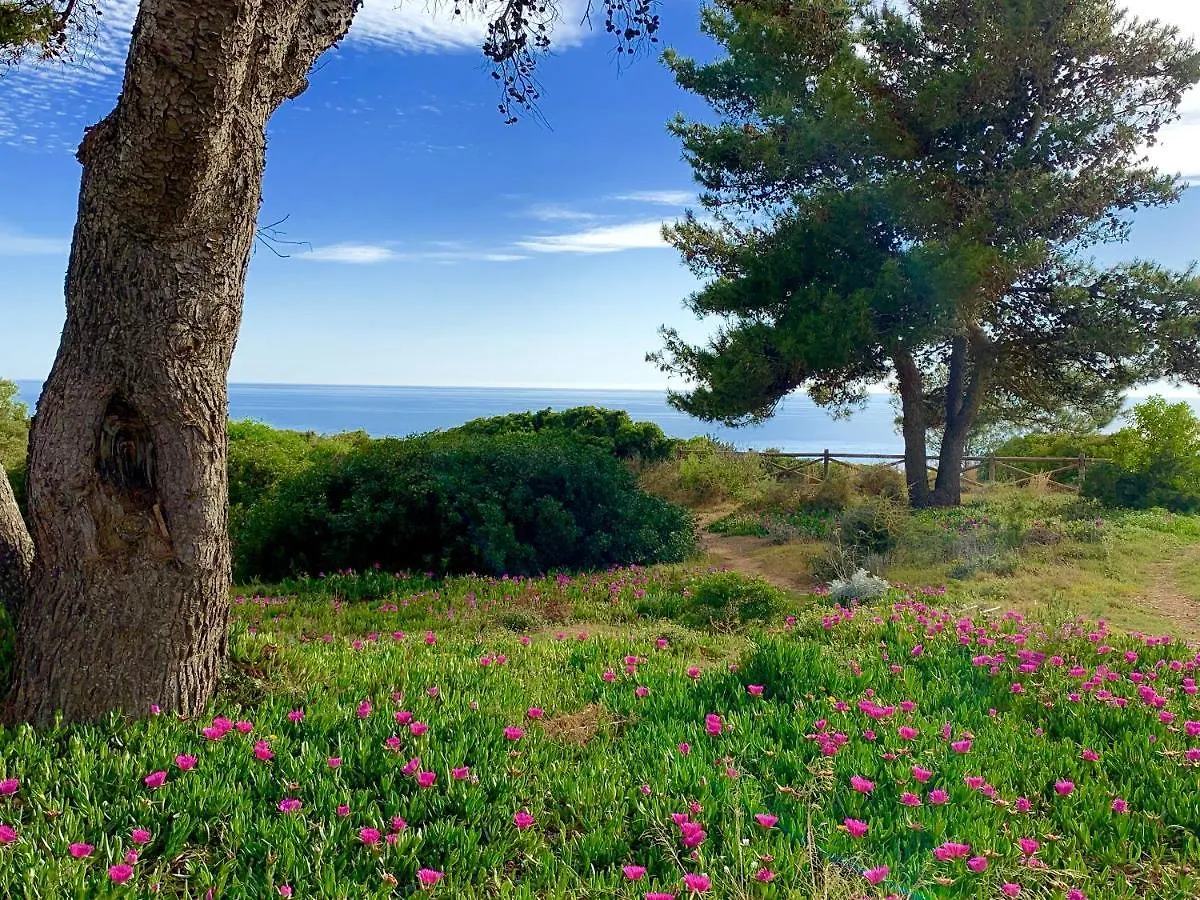 Holiday home Charming House In Carvoeiro + Pool Villa Portugal