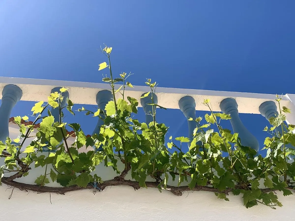 Charming House In Carvoeiro + Pool Villa Carvoeiro (Lagoa)