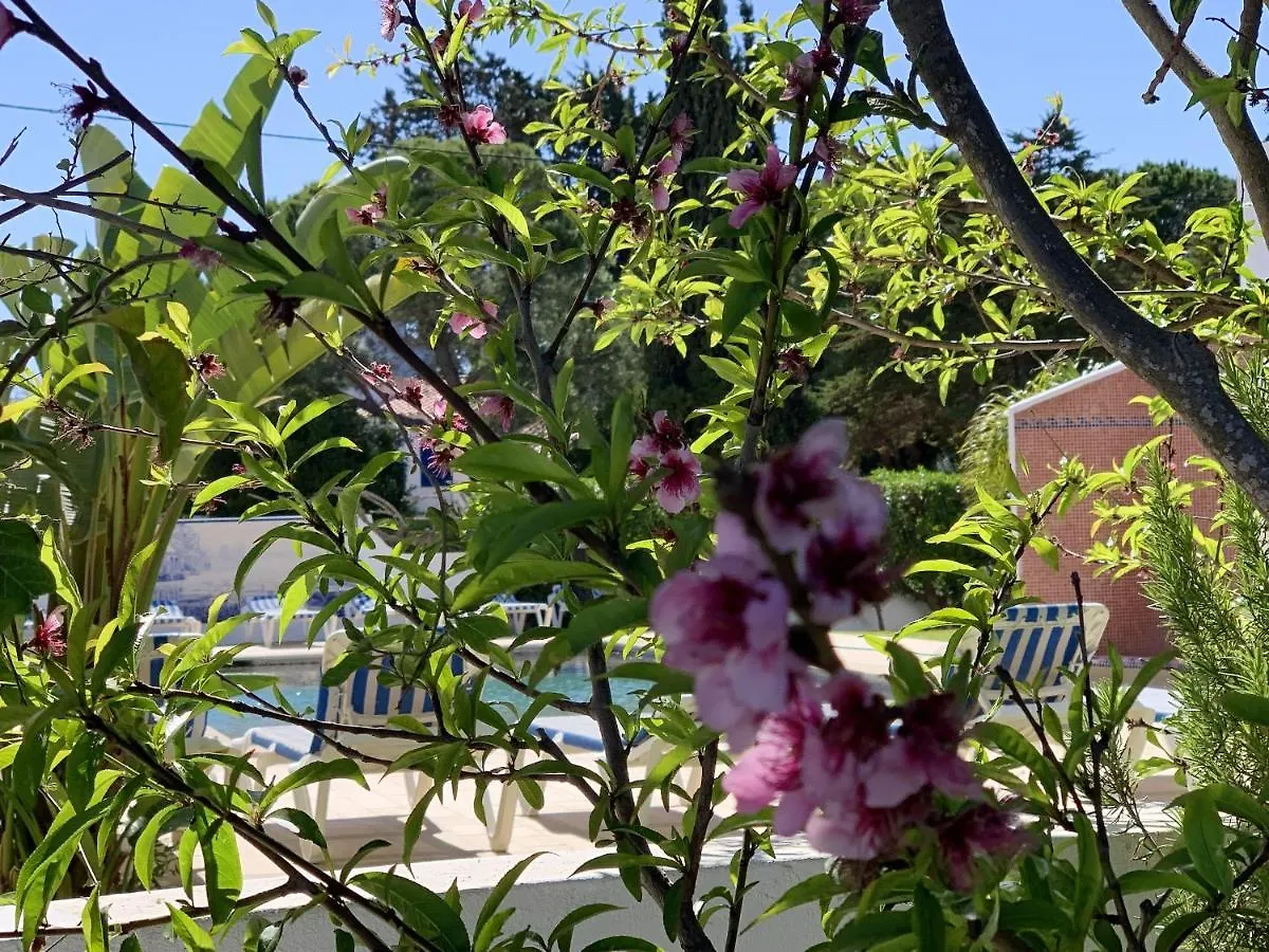 Charming House In Carvoeiro + Pool Βίλα 0*, Καρβοέιρο Πορτογαλία