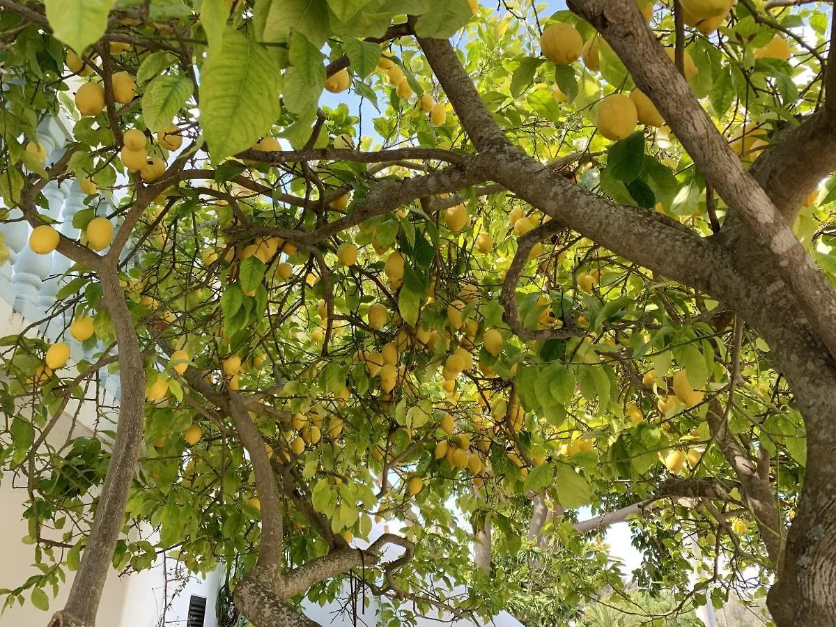Charming House In Carvoeiro + Pool Βίλα 0*, Καρβοέιρο Πορτογαλία